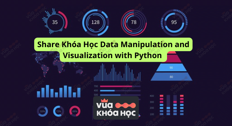 share khóa học data manipulation and visualization with python