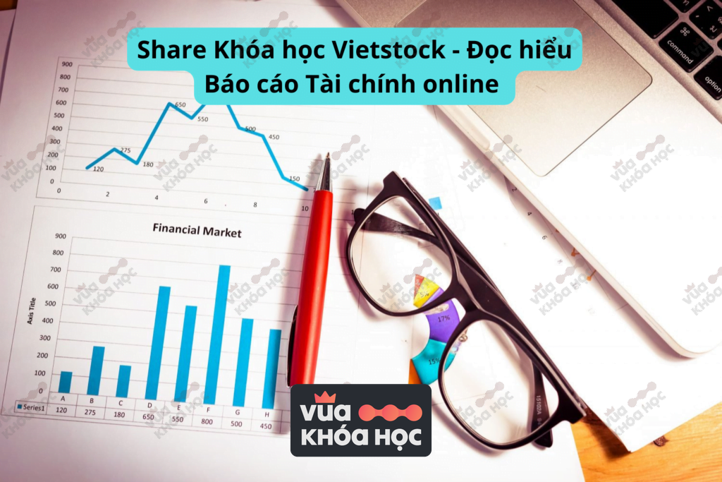 Share Khóa học Vietstock - Đọc hiểu Báo cáo Tài chính online