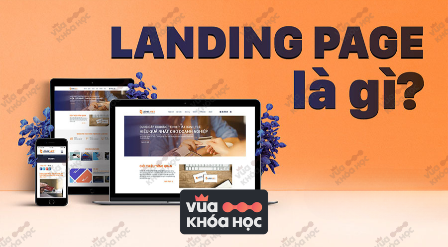Ladipage Là Gì? Tầm Quan Trọng Ladipage Trong Kinh Doanh Online