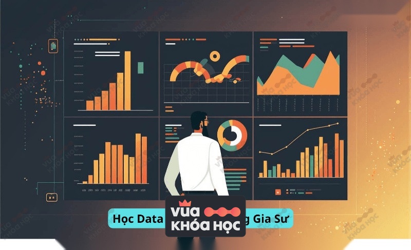 Học Data Analytics Cùng Gia Sư