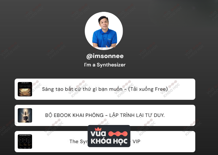 Chương Trình Synthesizer School Của Imsonnee Thinking School