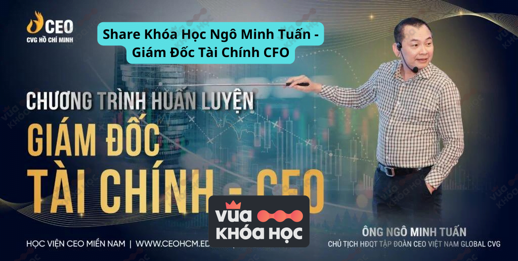 Share Khóa Học Ngô Minh Tuấn - Giám Đốc Tài Chính CFO