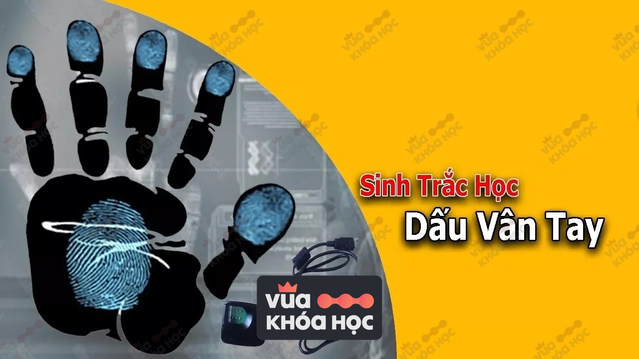 share khoa hoc sinh trac van tay unica