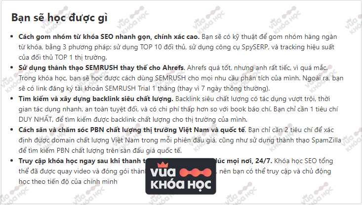 Bạn Sẽ Học Được Gì Từ Khóa Học SEO Tổng Thể Mới Nhất 2023