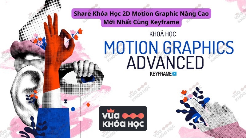 Khóa Học 2D Motion Graphic Nâng Cao Mới Nhất Cùng Keyframe
