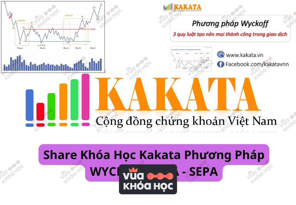 Share Khóa Học Kakata Phương Pháp WYCKOFF - VSA - SEPA