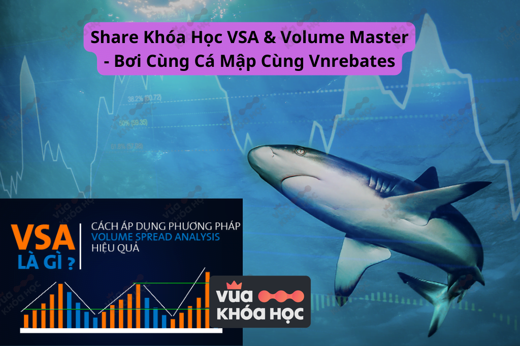share khóa học vsa volume master - bơi cùng cá mập VNRebates